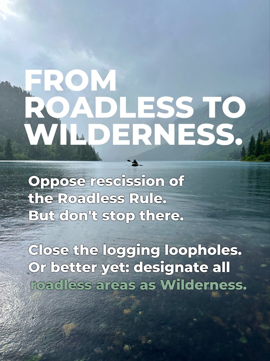 JohnMuirProject's tweet photo. The Trump Admin wants to repeal the #RoadlessRule We say stop this nonsense and strengthen it instead! https://t.co/jEO0pFH3Ed https://t.co/4zbqIWKeVa