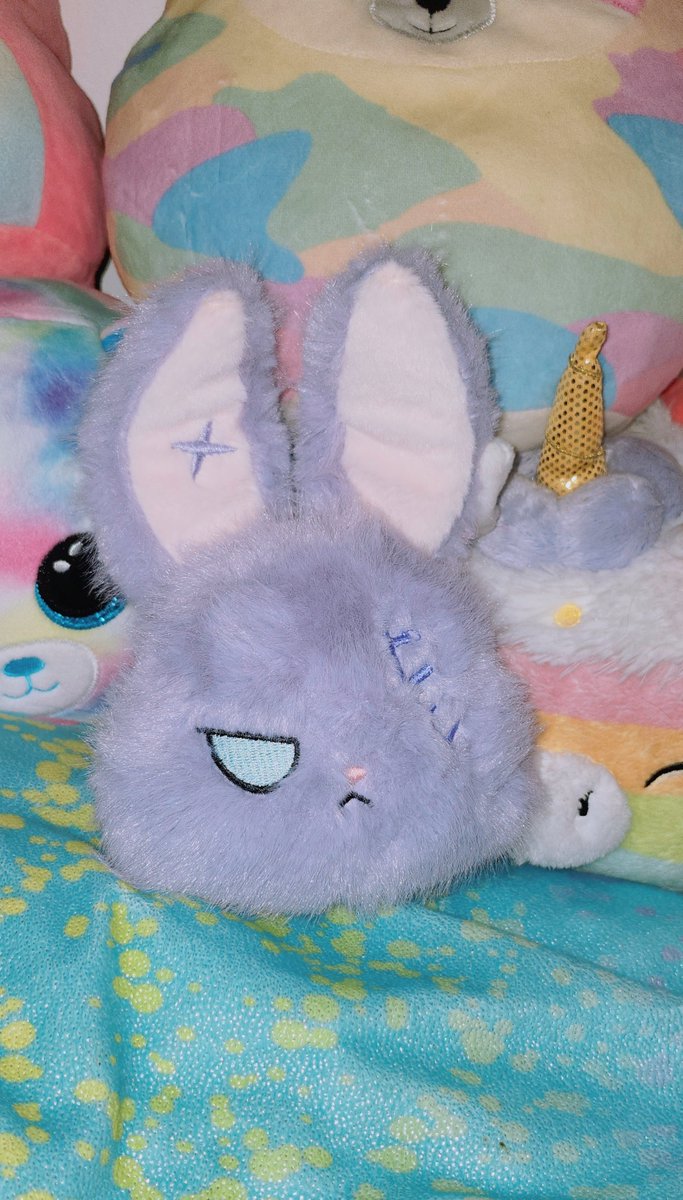 Miichel701's tweet photo. #darkbunny #stuffedanimal #kawaii #toys #toy #collection #collectibles #toycore #toywave #collector #toycollector #decor #aesthetic #plush #plushies #stuffedanimals #stuffed #plushcore #toycollection #bunny #plushkeychain #style #plushkeychains #halloween #spookyvibes #gothic https://t.co/orzWvjPbB8