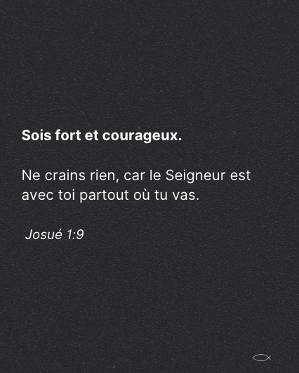LaBiblesurlenet's tweet photo. https://t.co/pDq3K7vKlS