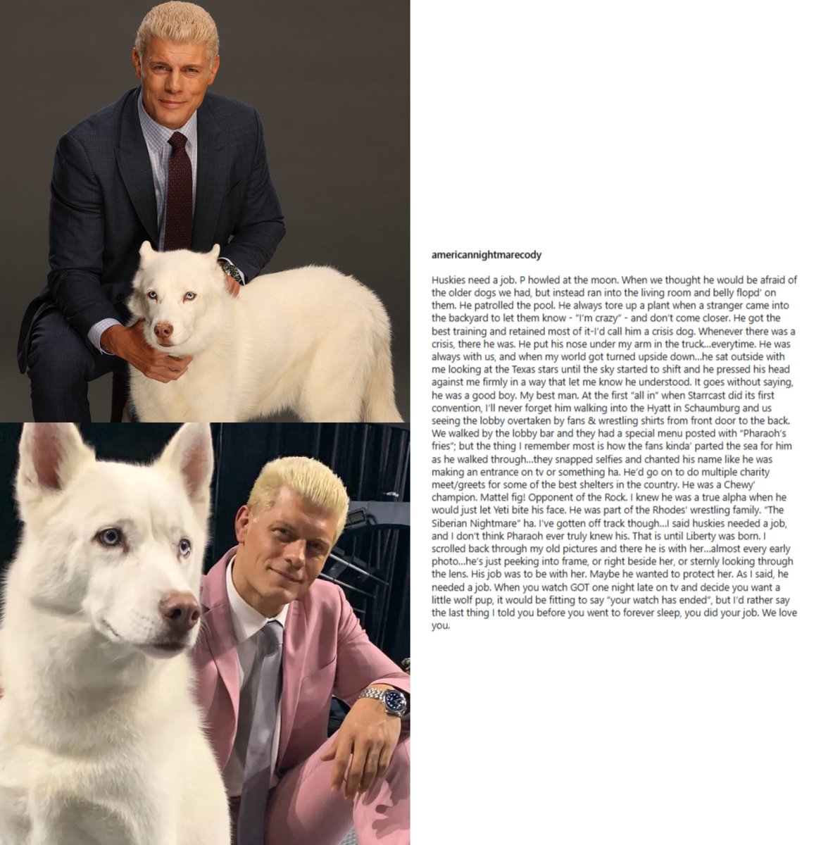 wrestlelamia's tweet photo. Cody Rhodes has announced that his dog Pharaoh has passed away.

RIP  🙏 https://t.co/A8YQcykWIx
