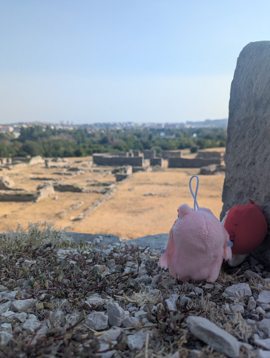 Patty_Cakes28's tweet photo. They're thinking about what happened to the Roman Empire in Salona... #amanogawashiina #Capippalist https://t.co/FWrrs3tbid