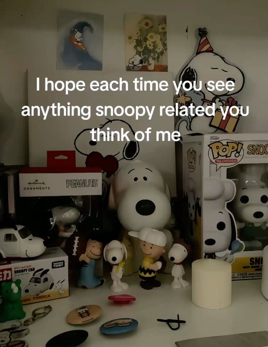 DailySnoopys's tweet photo. https://t.co/cHF4hyHGGm
