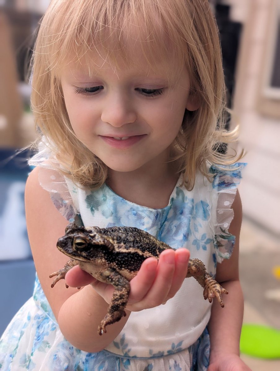 StoryStateFarm's tweet photo. While we don't cover toads, now's a great time to make sure your furry friends have great coverage. Contact me to talk about Trupanion medical insurance for your dogs and cats or learn more at: https://t.co/tKGqLlwDre. https://t.co/9qRZEcVjrm