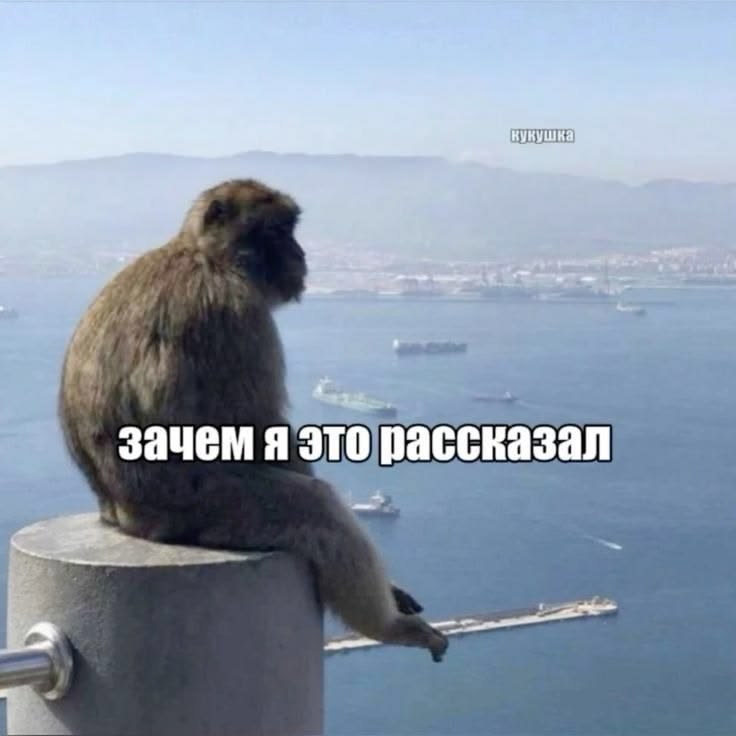 sankysy's tweet photo. так лень мытса https://t.co/sQwMG7Piuj