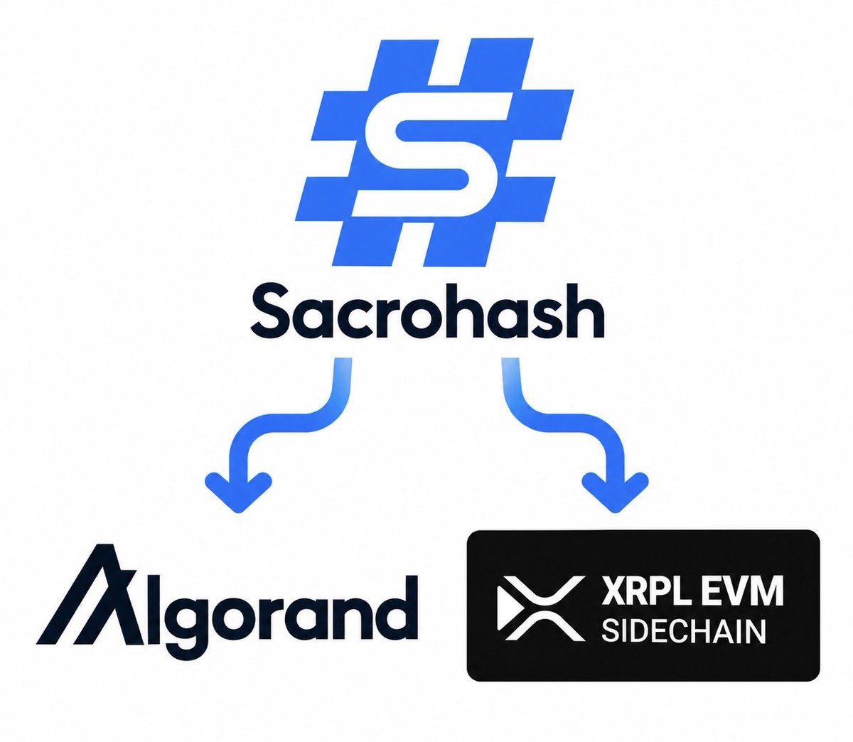 webbycrypto1's tweet photo. What if you could prove an official dataset was never altered?

SacroHash is an open source data integrity notary for SDMX-ML.

Institutions publish the data.
SacroHash fingerprints it.
The proof is anchored to Algorand and XRPL EVM.
Anyone can verify it.

No trust. Just proof.

https://t.co/Cb17jtChDx