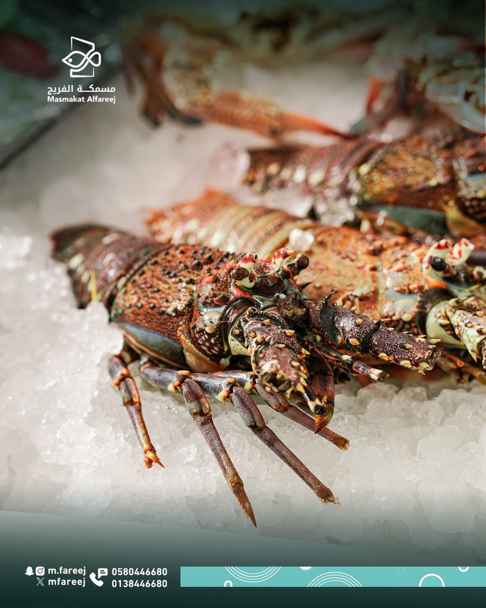 MFareej's tweet photo. طازج ومبرد بكفاءة... 🐟

#مسمكة_الفريج_للمأكولات_البحرية 
#مطاعم_الشرقية #مطاعم_الدمام https://t.co/01wD8STryd