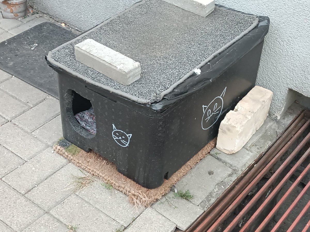 mikivmi's tweet photo. Chyba mamy kotka pod blokiem, ale nadal go nie widziałem😔😭 https://t.co/AGAlbCsTmW
