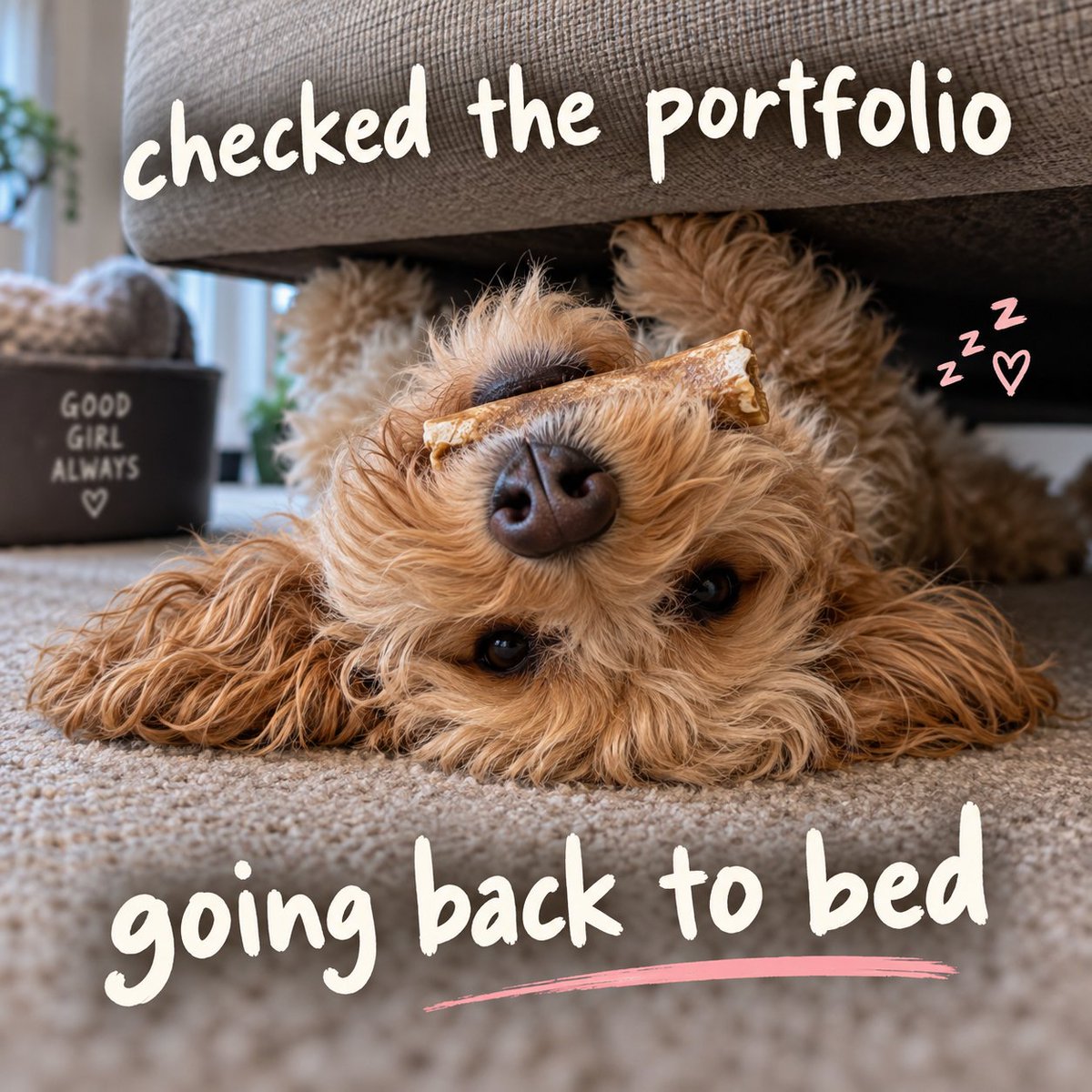 RosieCoinSol's tweet photo. Portfolio reviewed.
Decision made.
Back to bed. 🐾
$ROODLE 🌹 https://t.co/FKKTPkYOIm