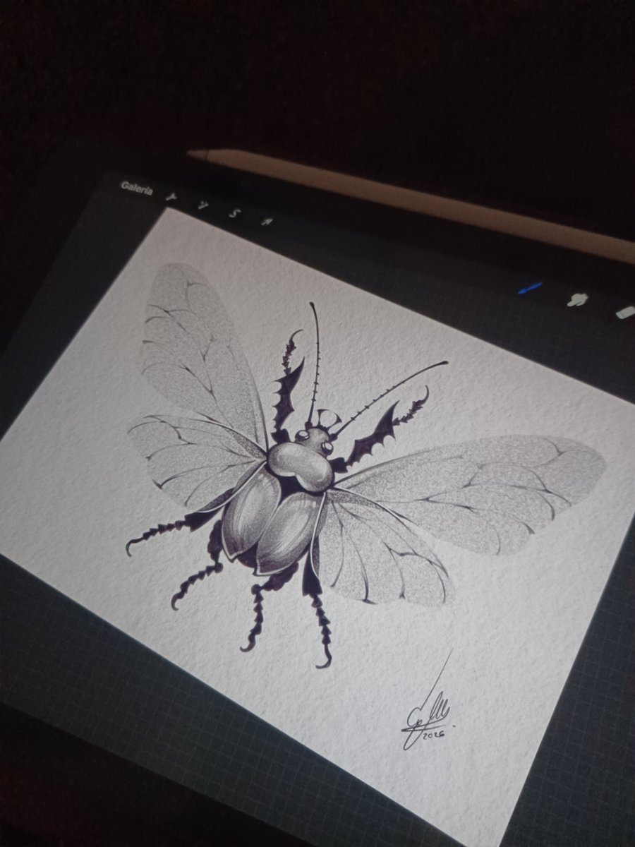Letsgoupaula's tweet photo. Algunos de los diseñitos que he estado haciendo✨️✨️ https://t.co/uxWeyLQ5Gm