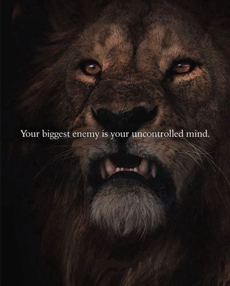 ManOfFocus_'s tweet photo. Trust me. https://t.co/UEIWMmX0Ag