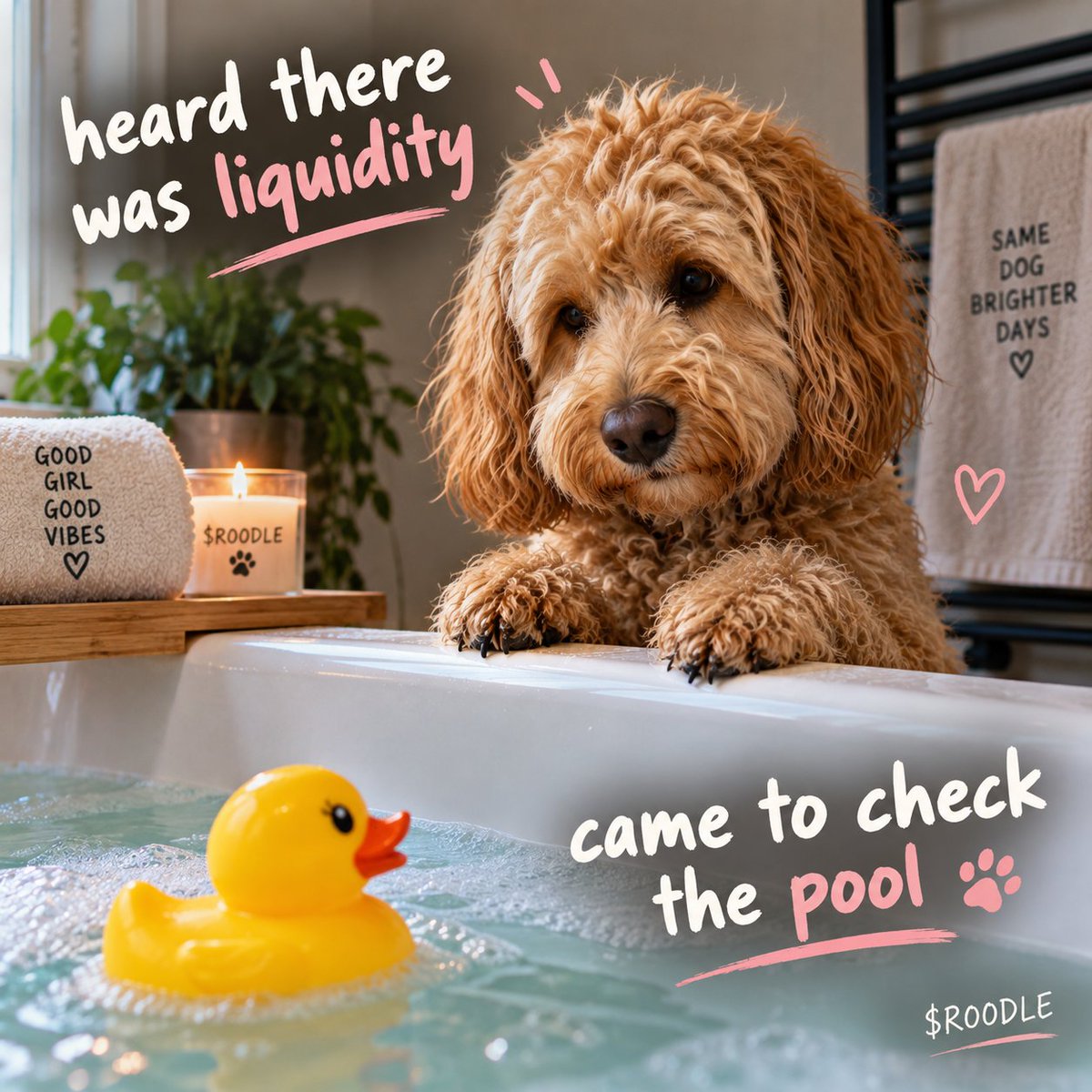 RosieCoinSol's tweet photo. Heard there was liquidity.
Disappointed to find it was just bath water. 🛁🐾
$ROODLE 🌹 https://t.co/uRnGILRR2B