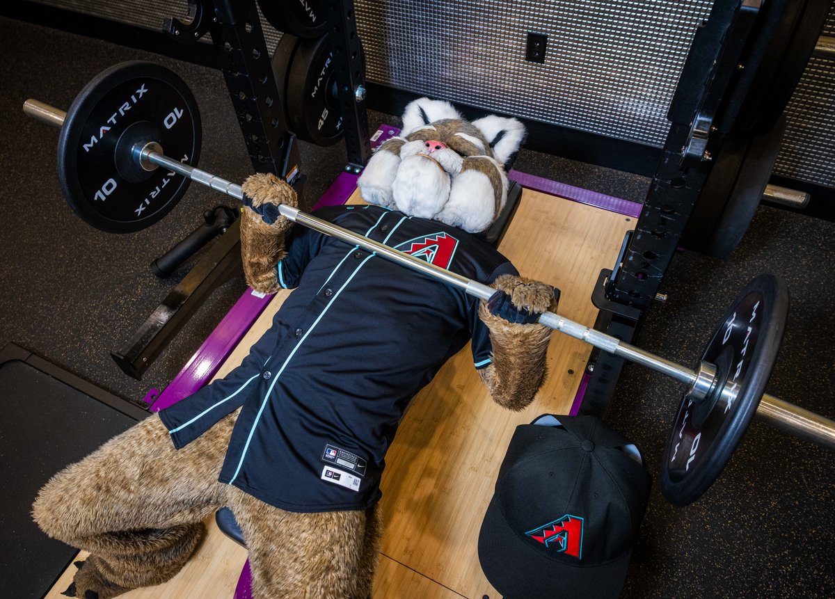 DbacksBaxter's tweet photo. Your new gym crush loading ... https://t.co/6DQy51POor