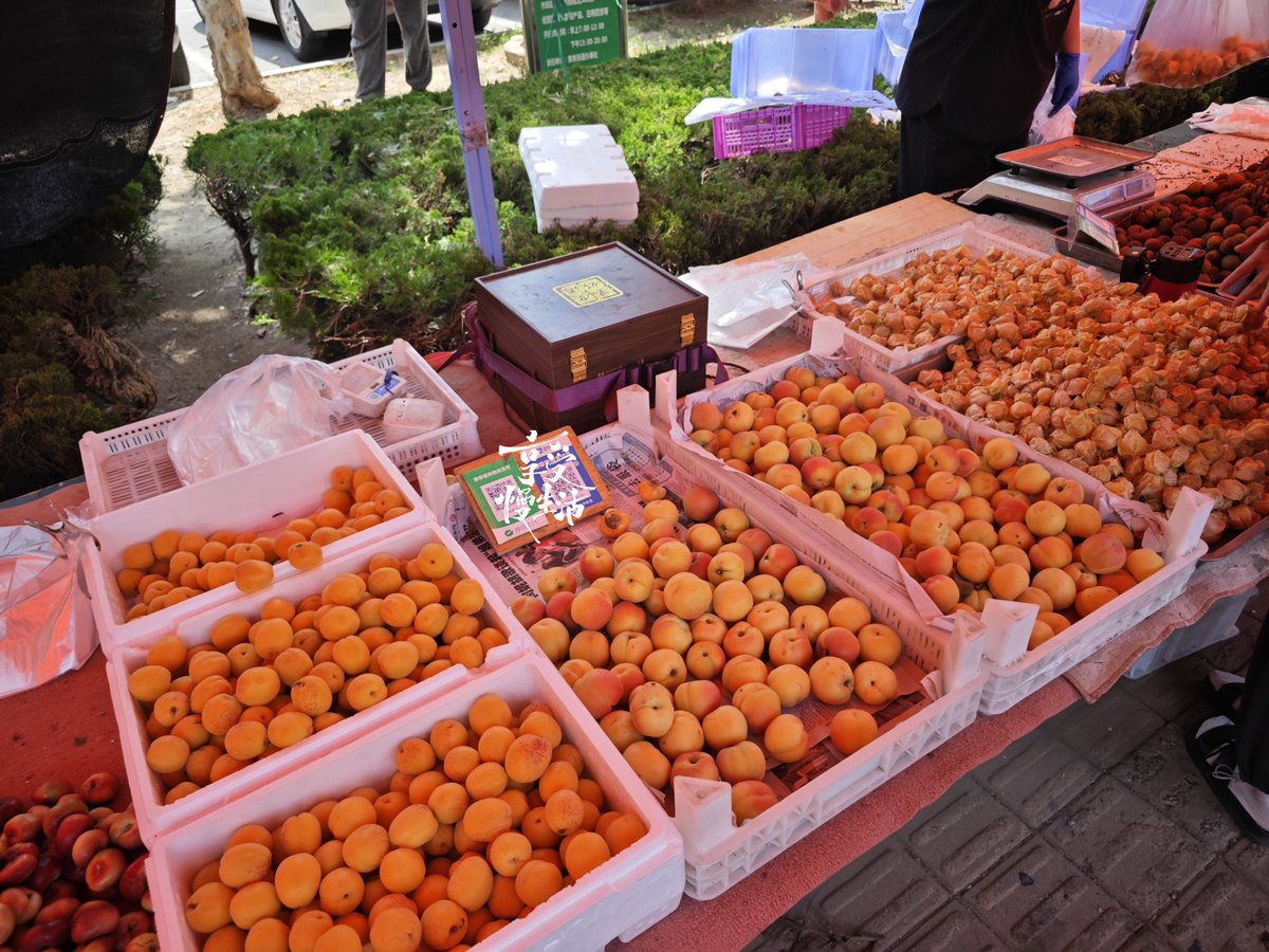posco48's tweet photo. 【今日鲜采】带泥黄心胡萝卜、现杀走地鸡、脆甜水果番茄刚到店，下午做炖鸡和番茄炒蛋的食材备好了，要的速来！， https://t.co/vOV6Eqefrm