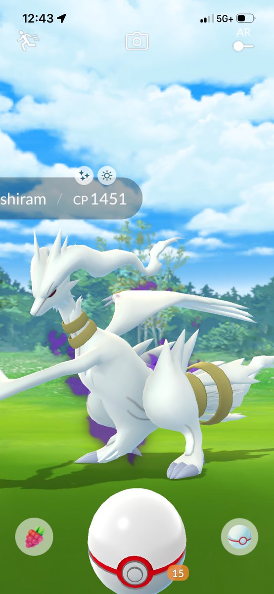 chloeeful's tweet photo. got some yellow shinies today https://t.co/uAE9L2DdgD