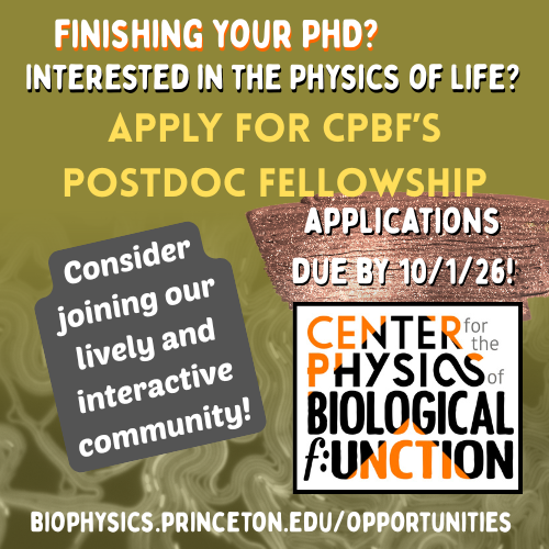 phybiofunc's tweet photo. Apply here: https://t.co/YQOmrLfSfI https://t.co/4SdlSn2Rm7