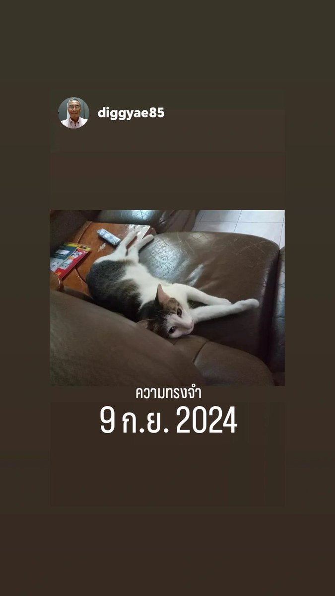RidthirodKom85's tweet photo. old pictures of cats from many years ago https://t.co/sgBp5XWzp4