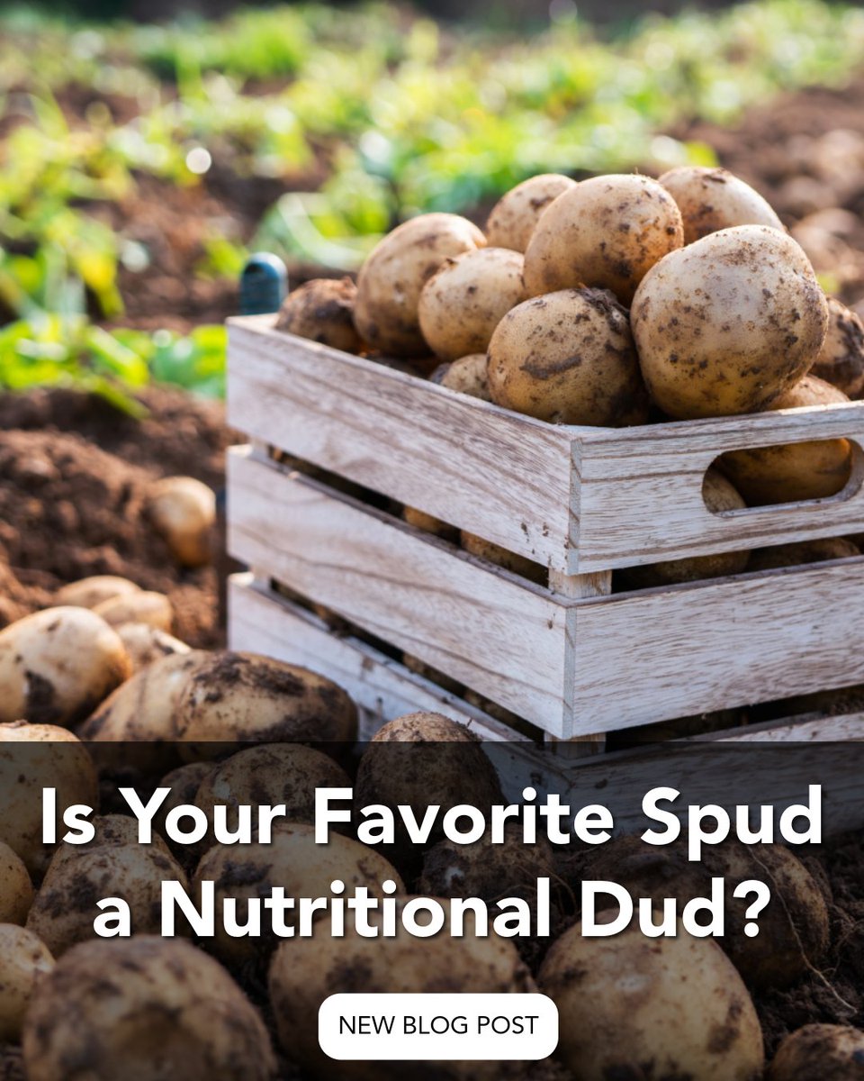 AultCare's tweet photo. Mashed, baked or fried, potatoes are a favorite for many households. But are all potato dishes created equal when it comes to nutrition? Discover how preparation methods can impact their health benefits and what to keep in mind when serving spuds at home: https://t.co/n4p4Yy7awv https://t.co/vTjsuRdRmb