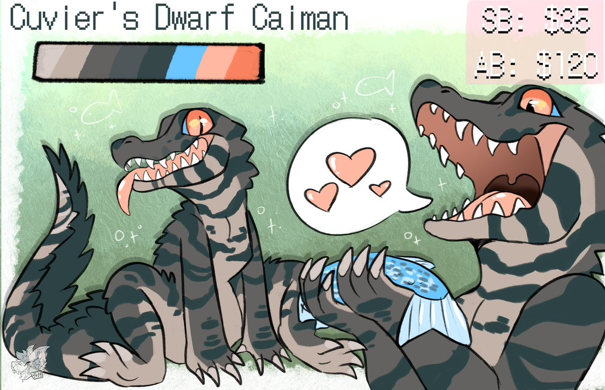 Mintitacos's tweet photo. Reptember DAY 8 !!

Dwarf Cauman FURRY ADOPT
 SB 35
AB 120
#Reptember26 🐊💚 https://t.co/Ul34o3C9Jl