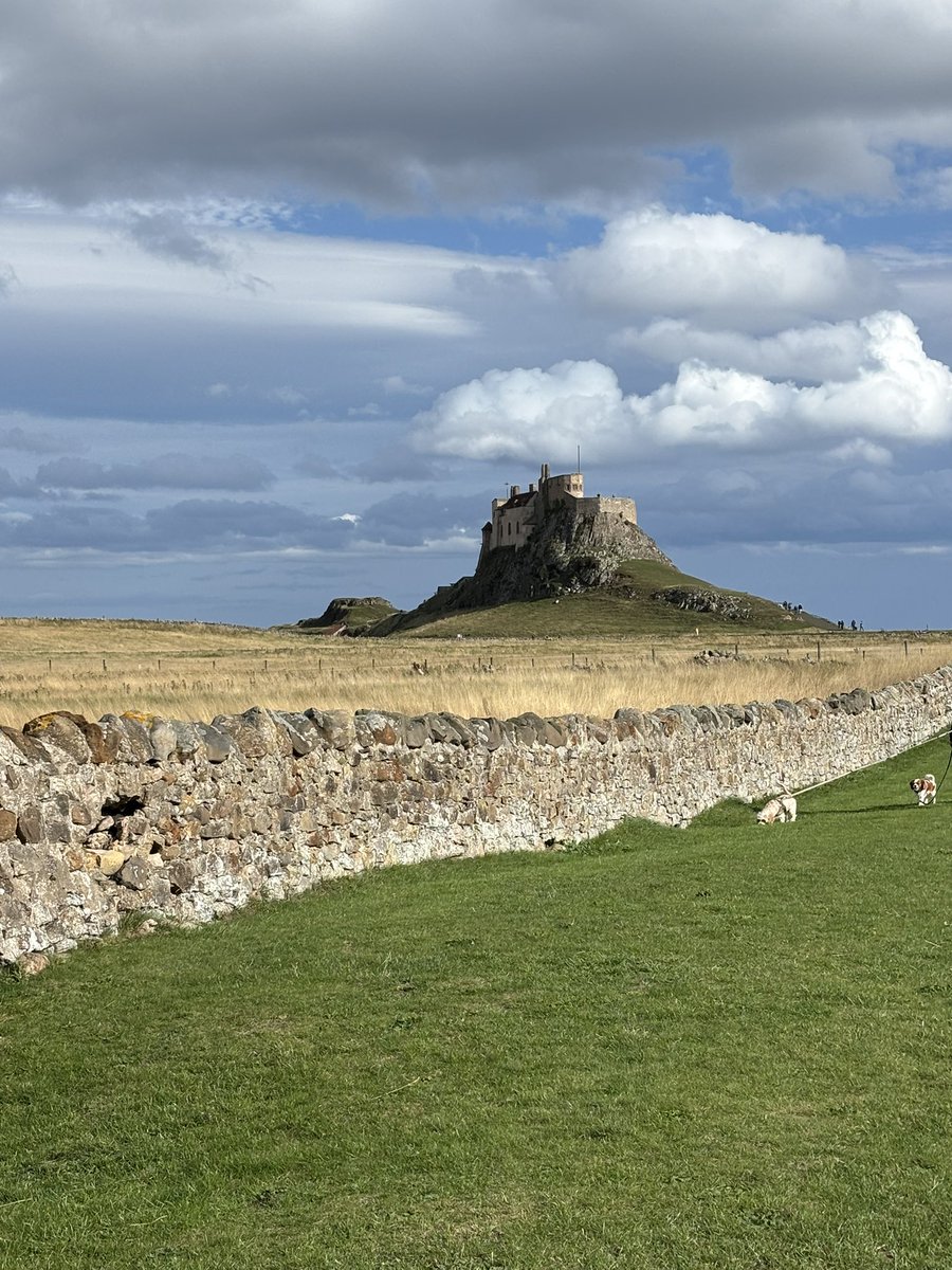lucynorris1's tweet photo. Lindisfarne light https://t.co/bSoD7rm0ei