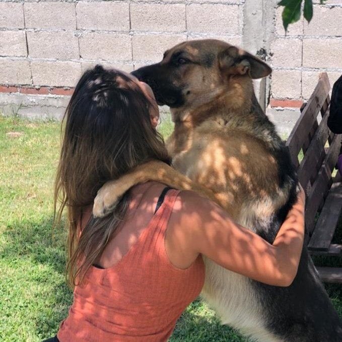 d_dasok's tweet photo. At  this point I don't know which 🍆 I prefer.
Get sexxy hot videos of me and my k9 or horse 💦🍆🔥🔥 send a Dm 👇 
📥https://t.co/28ykG5ftCS📥

#k9girl #beastiality #dogknot #nsfw #artofzoo #dogknotting  #zoophilia #kinkymood #k9girl #bigtits #DallasCowboys  #viral #us #gay #uk https://t.co/ptv4uVN5dc