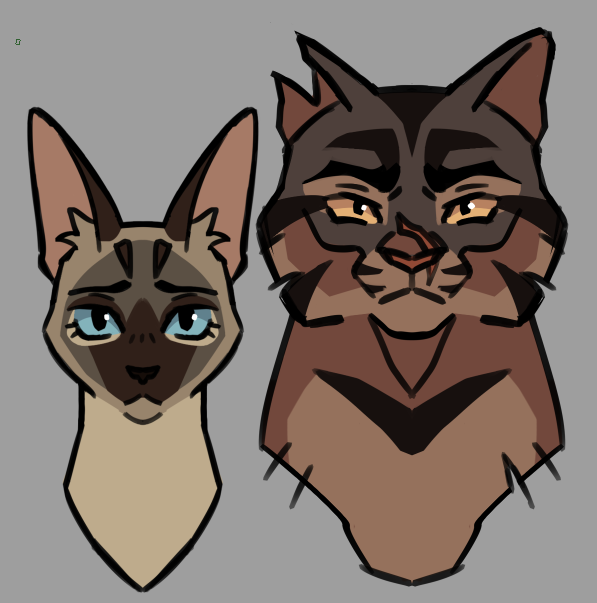 asterick___'s tweet photo. warrior cat ❤️ https://t.co/lvzQGRzy4G
