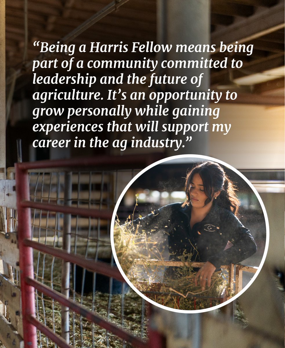 FSJordanCollege's tweet photo. Students like Morgan Jackson are making an impact through hands-on work in the campus sheep unit. 🐑As a Harris Fellow, she has helped oversee the unit’s animal welfare and facility needs while supporting opportunities that extend beyond campus. 🐾 https://t.co/eU99QbbqFe