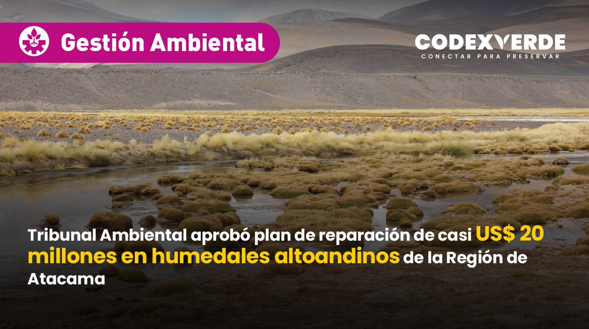 CodeXverde's tweet photo. Minera Maricunga, por un periodo de 15 años, deberá ejecutar un Plan de Reparación que abarca los humedales de Pantanillo, Valle Ancho Sur, Valle Ancho Centro y Valle Ancho Oeste, el que considera un monto total estimado de US$19.785.000 https://t.co/k2uOCaDxUR https://t.co/gJ7I5s8GPR