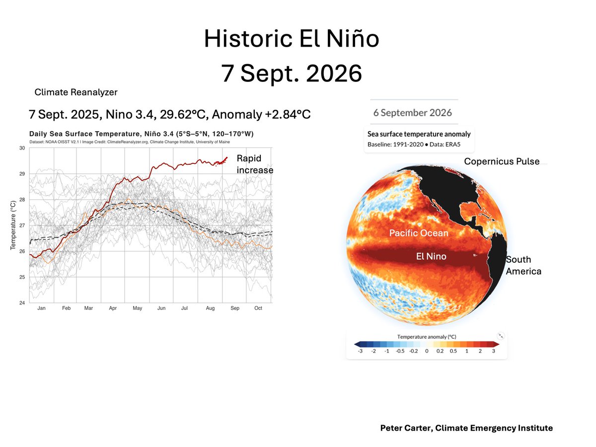 PCarterClimate's tweet photo. HISTORIC HORRID 2026 EL NINO, 7 SEPT.
#ElNino #climatechange #globalwarming https://t.co/pAkflvgM9x