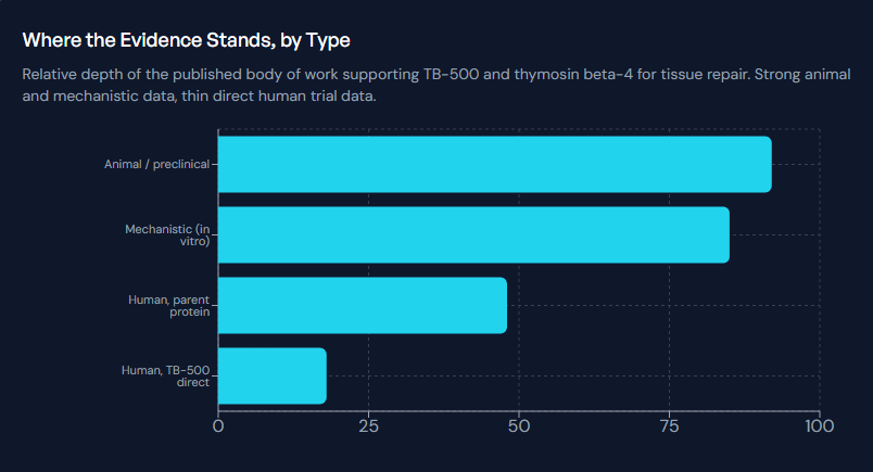 EPTplatform's tweet photo. The most-discussed recovery peptide, and a straight account of what's behind it.

Thymosin beta-4 isn't exotic. It's a small actin-sequestering protein found in nearly every cell, which the body reaches for whenever tissue is injured. TB-500 is the acetylated active fragment built around the LKKTETQ sequence, easier to synthesise than the full 43-amino-acid molecule.

The mechanism is coherent and that's what makes it interesting. It binds G-actin and helps route it where cells need to move and reshape. That fans out into several pathways: migration of repair cells toward the injury, angiogenesis, which matters enormously because blood supply is the rate-limiting step for slow-healing tissue like tendon and ligament, and dampened inflammatory signalling during the repair phase.

The key distinction: unlike growth hormone or IGF-1, it doesn't push overall growth. It targets the injury environment. It's a signal, not a fuel.

Now the limitation, stated plainly. A recent scoping review found that most studied interventions used the full protein rather than TB-500 itself, and that direct human TB-500 evidence remains very limited. The encouraging human work exists mostly on the parent compound in settings like diabetic foot ulcers and dry eye, not athletic injury. There is no approved product and no official human dosing.

That's a real gap, and it's different from the compound not working. But "hundreds of studies" and "proven in humans" are not the same sentence, and they get used interchangeably constantly.