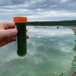 Photo by LILSA Lake Isle Lac Ste. Anne Stewardship Society (@LilsaWater)