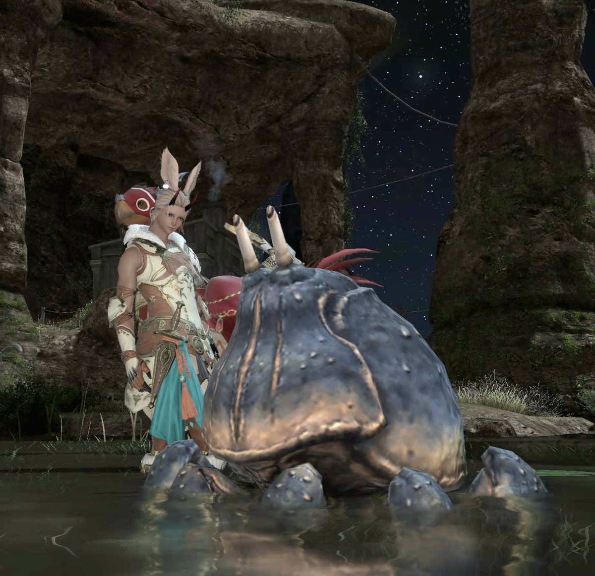 puapua0810's tweet photo. けもりんと言えばやっぱカニよねw(わかる人にはわかる
魔獣使いポケモンみがあっておもろい🍬レベル20でやめ💤 https://t.co/6ibmWpo2e0