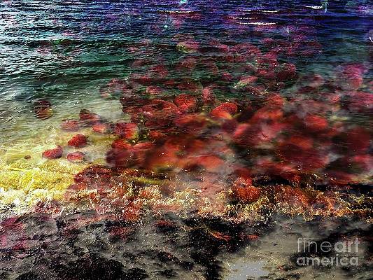 BitasAttic's tweet photo. Moving through
#photography,#colours, #red https://t.co/iD7PsBr2j0
