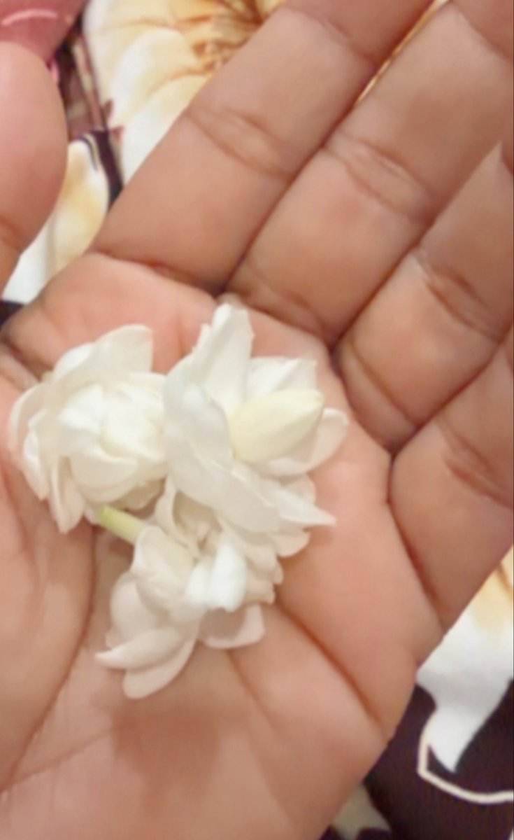 shamsaRehmani's tweet photo. اماں اور موتیا۔ 
اماں کو موتیا صرف پسند نہیں، اُس  سے عشق ہے۔کیونکہ  اس کی خوشبو  اماں  کو صرف اس پھول  سے نہیں بلکہ ماضی کی  حسین یادوں سے جوڑے رکھتی ہے۔ 
#موتیا https://t.co/QNqP8t1h0k