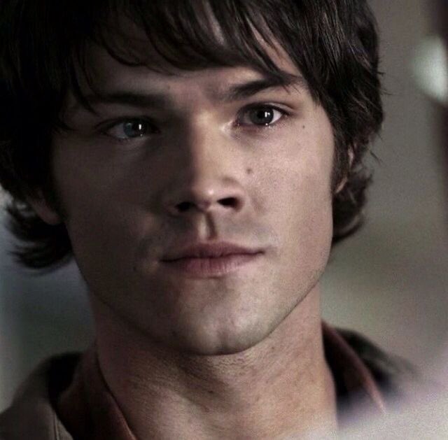 dontdistuurb's tweet photo. puppy dog eyes wide and in full force https://t.co/DRHjZXS9xV