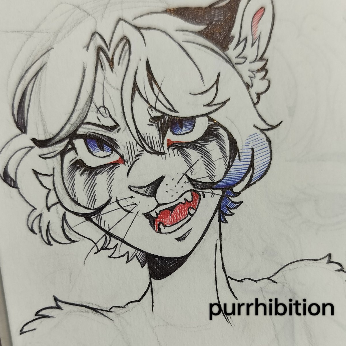 purrhibition's tweet photo. Hiss! #furryartㅤㅤㅤ https://t.co/Bh8iqKcpGy