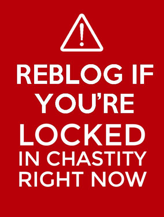captain_tx92's tweet photo. Day 8 of pre-Locktober, any boys locked in chastity should put a cage check in the comments below &amp; RT the thread https://t.co/Ndsh66iUm0