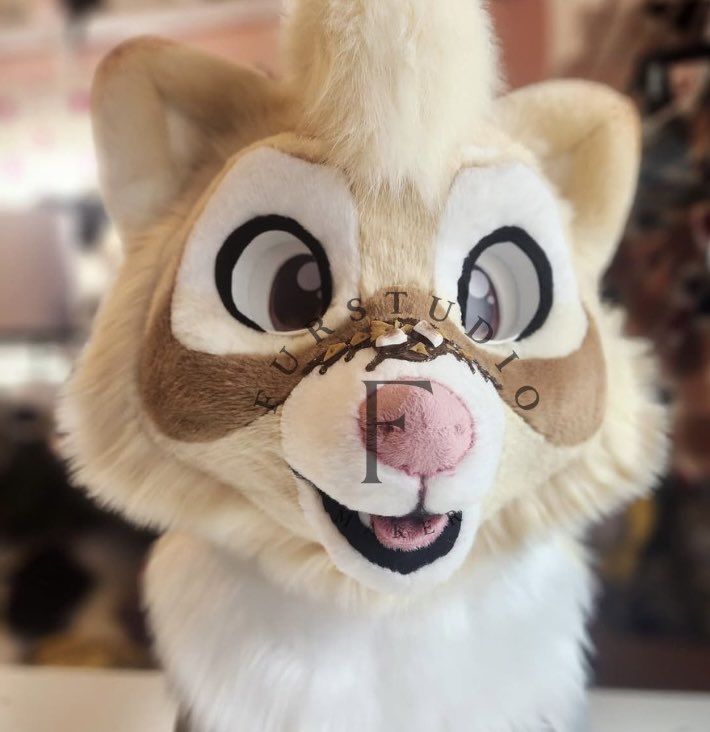 Furstudioo6's tweet photo. A sweet little raccoon with a warm, cozy look ✦ Soft cream fur, caramel markings, and those adorable big eyes make this head extra lovable

#Fursuit #FursuitHead #RaccoonFursuit #RaccoonFursona #FursuitMaker #FursuitCommission #FurryFandom #FurryArtist https://t.co/oD0CKRwLrH