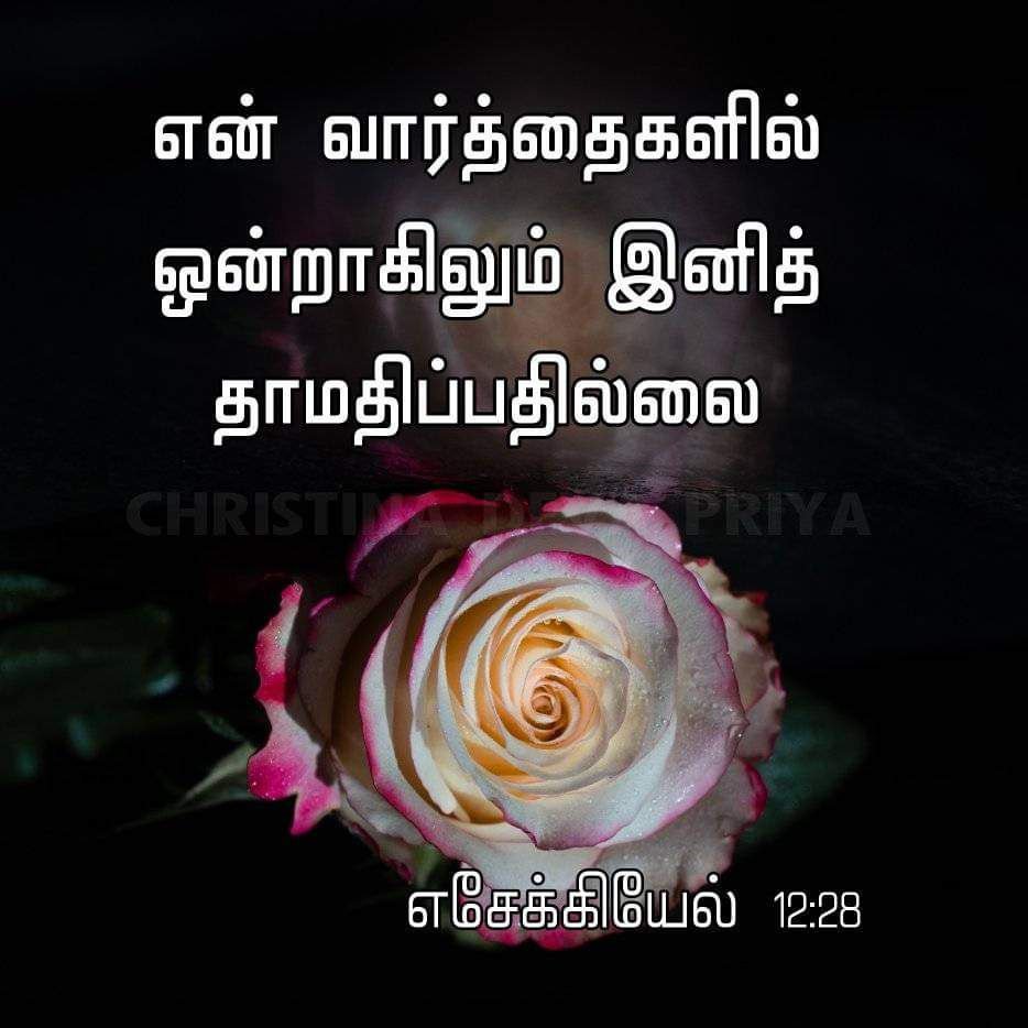 Gospels18's tweet photo. இன்றைய வேத வசனம் 📖👼 September09 #GospelsEverywhere #bible #todaysbibleverses #இன்றையவேதவசனம் #september09 #dailybibleverse #tamil
இது போன்ற தினசரி இறைவார்த்தைகளைப் பெற எங்களைப் Follow செய்யுங்கள். உங்கள் நண்பர்களுக்கும் பகிர்ந்து ஆசீர்வாதமாக இருங்கள்! https://t.co/2M84ef4R7R