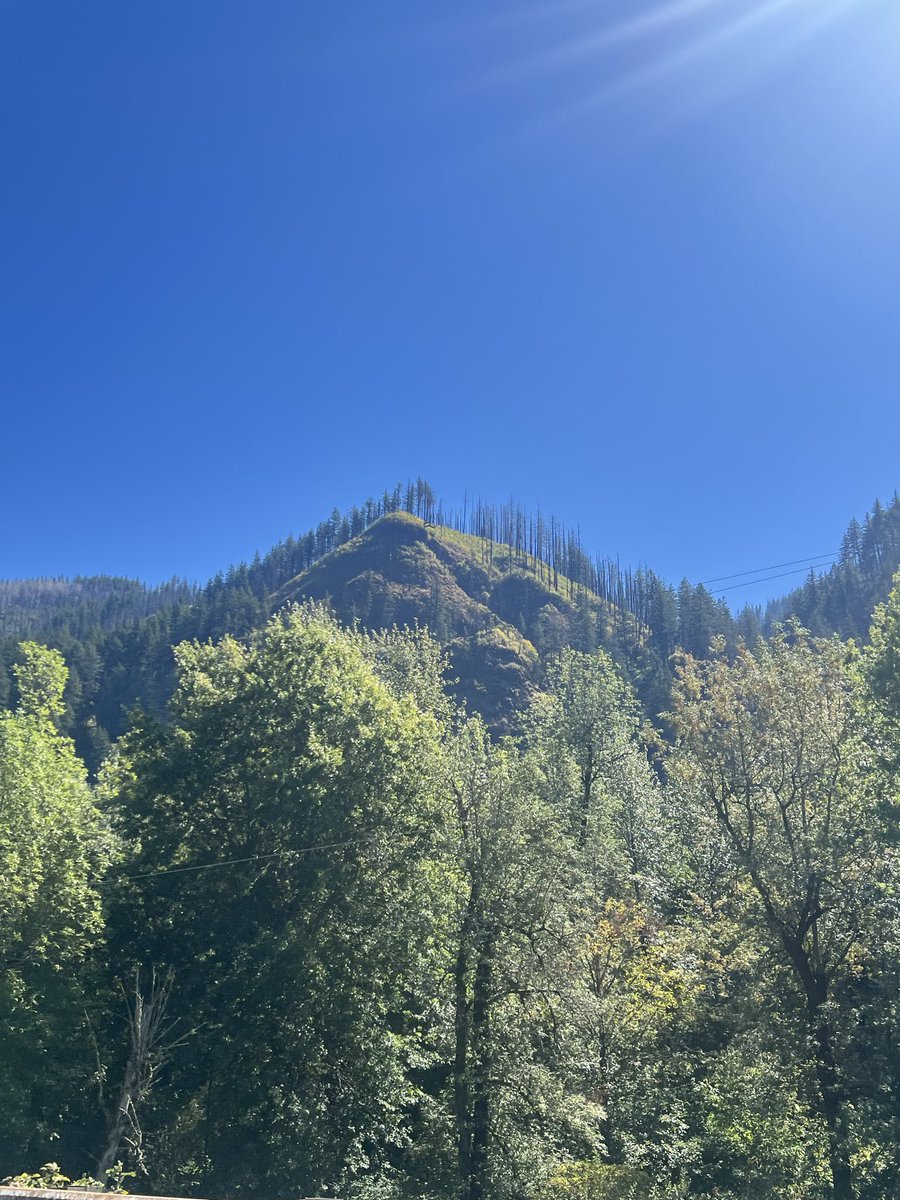 muppetluver420's tweet photo. anyways went to the mountains today and made pizza from scratch god is good https://t.co/44qQzpChLB