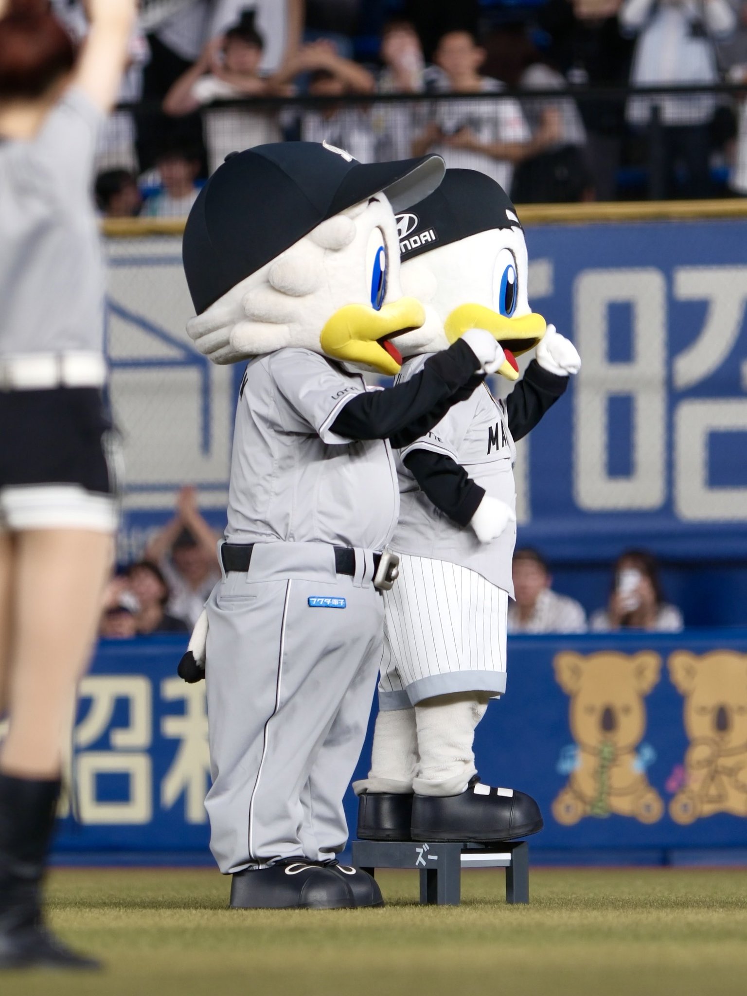 マーくん マーくろう on X: 