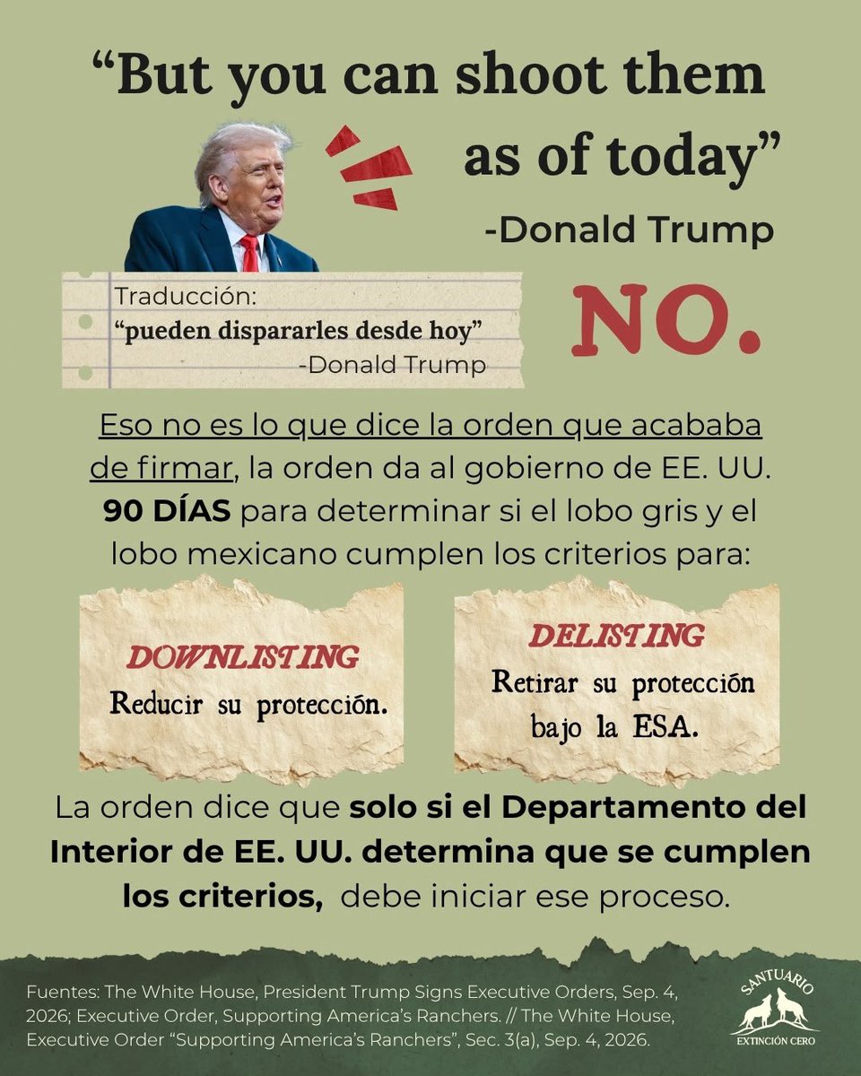 _hikariko57's tweet photo. 🐺Hilo sobre la situación actual del Lobo Mexicano Gris por parte de Extinción Cero🐺

Puedes firmar la petición https://t.co/7ixTYgDtgN 

Los siguientes 90 días son importantes para que sepamos si está orden procede a los siguientes pasos. 

#LoboGris #BringValkoBack https://t.co/QO8KJP5jX2