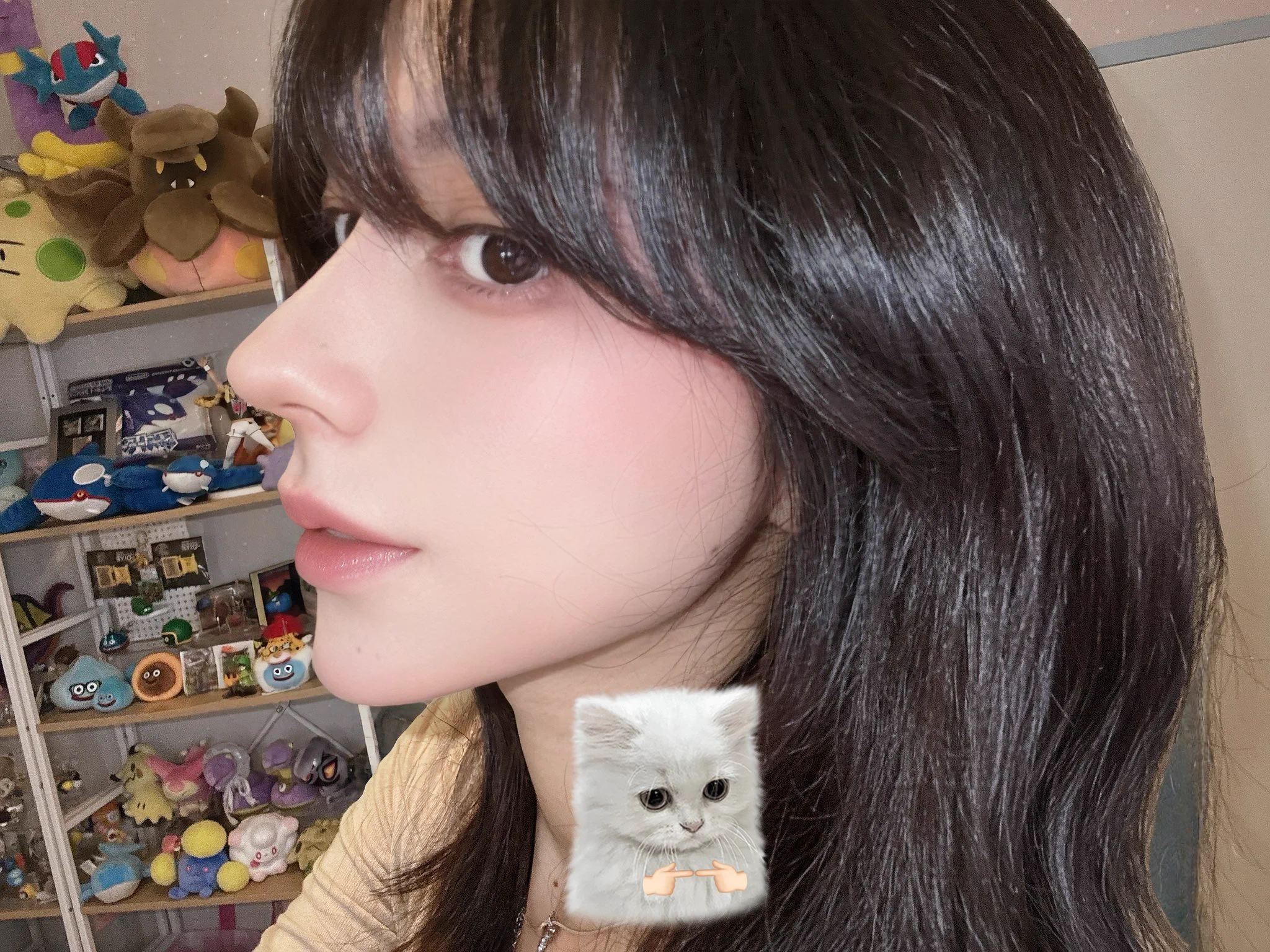 Liz ／21日TGS (@lizcat403) / X