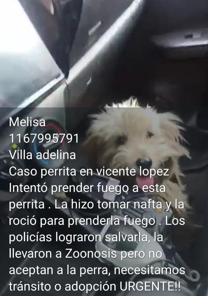 patripeyrou's tweet photo. Difundimos https://t.co/JX7UOjnziL