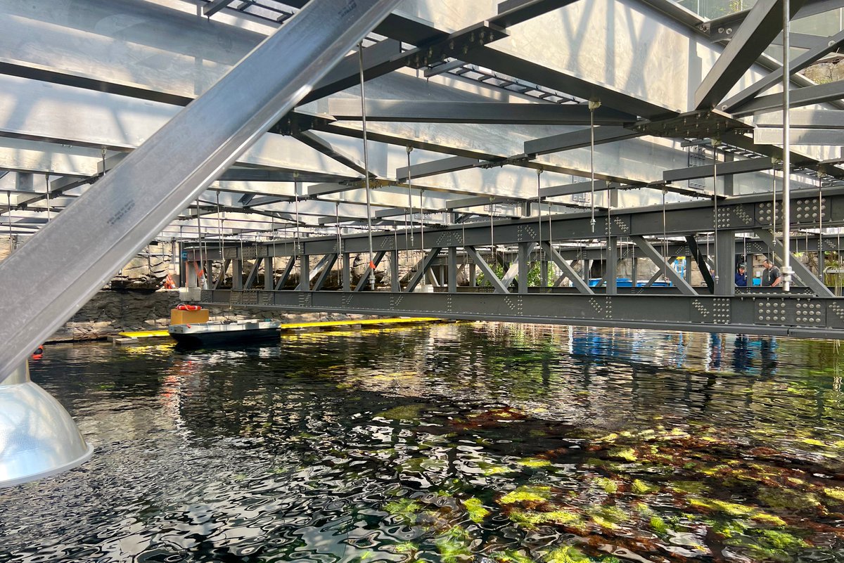 strongwellmc's tweet photo. Strongwell FRP is supporting coral reef research at Biosphere 2! 🌊 EXTREN®, DURAGRID® and SAFRAIL™ were used to create a durable structure supporting nearly 300 lights above the Marine Mesocosm.

https://t.co/L8uXSccFko https://t.co/o2J6qYHTGb