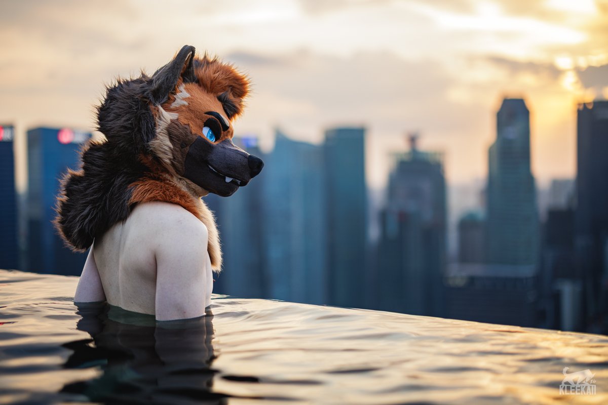 RingerShep's tweet photo. https://t.co/YDgRKwpUkY