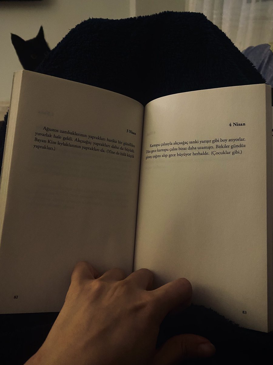 nerminkirish's tweet photo. Rica ediyorum yazasınız yoksa yazmayın ya. Kitabın %90’ı böyle. İsraf seviyesine sinirimden konuya adapte olamıyorum. https://t.co/D7vFFLIAyL
