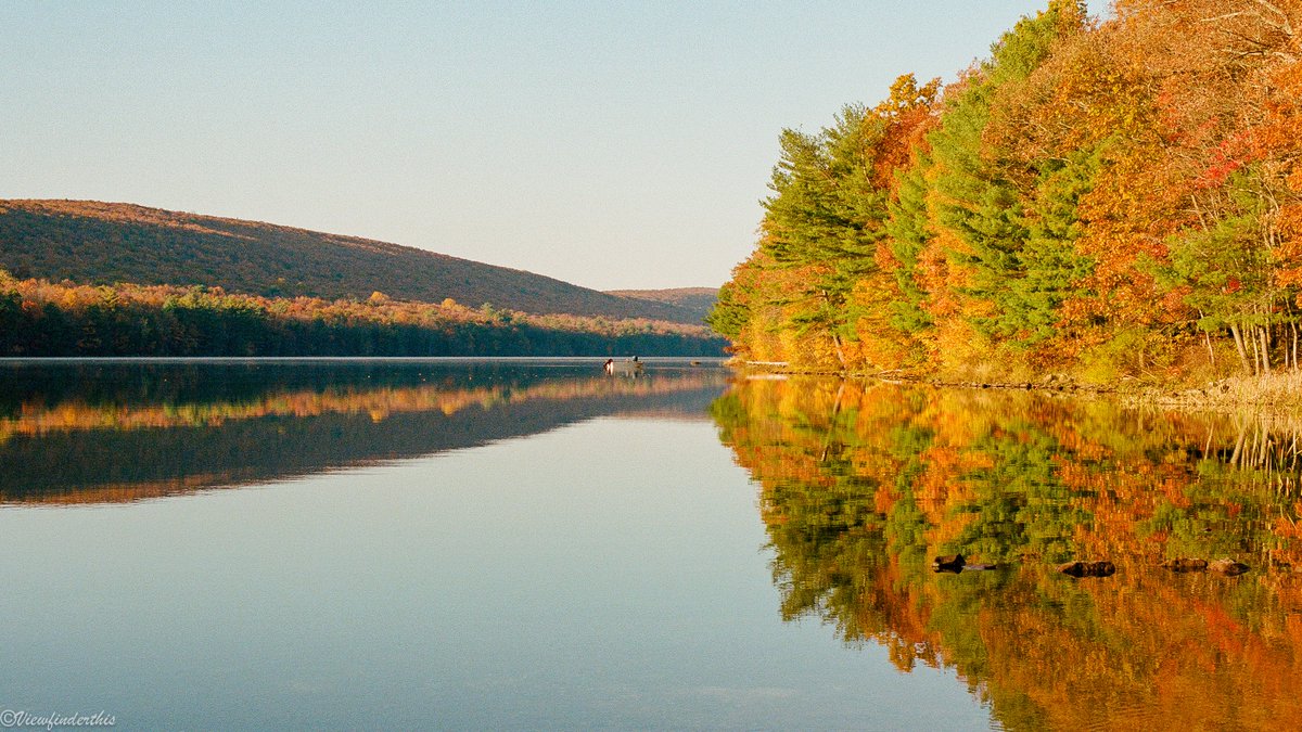 viewfinderthis tweet picture