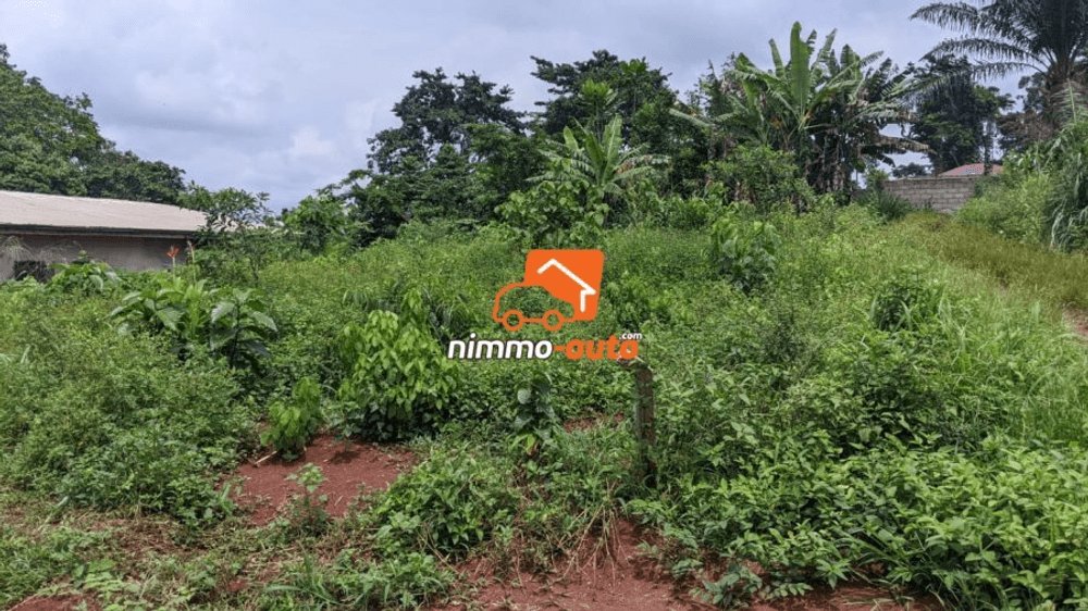 NimmoAuto's tweet photo. Découvrez une opportunité immobilière à ne pas manquer à Nkoabang Yaoundé Centre ! Un magnifique terrain de 1150m² est disponible, parfait pour concrétiser vos projets de construction. Offrez-vous cette parcelle de choix à un prix attractif de 20 000 FCFA le mètre carr… https://t.co/8Y7ckkINSH