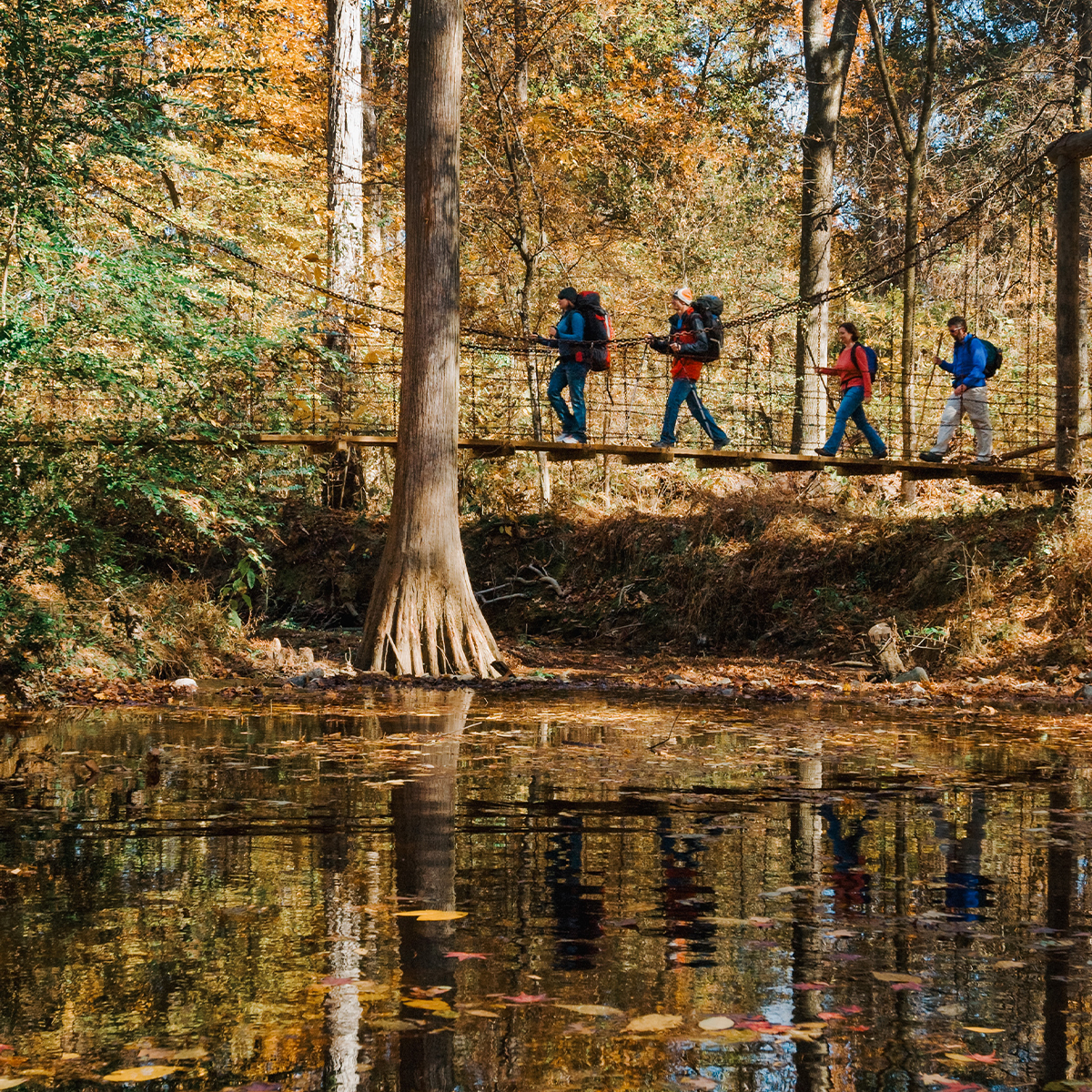 ArkStateParks's tweet photo. Fall family time at #ARStateParks > anywhere else. Come explore with your crew this fall. #TheNaturalState https://t.co/tqoQ1sb7qZ