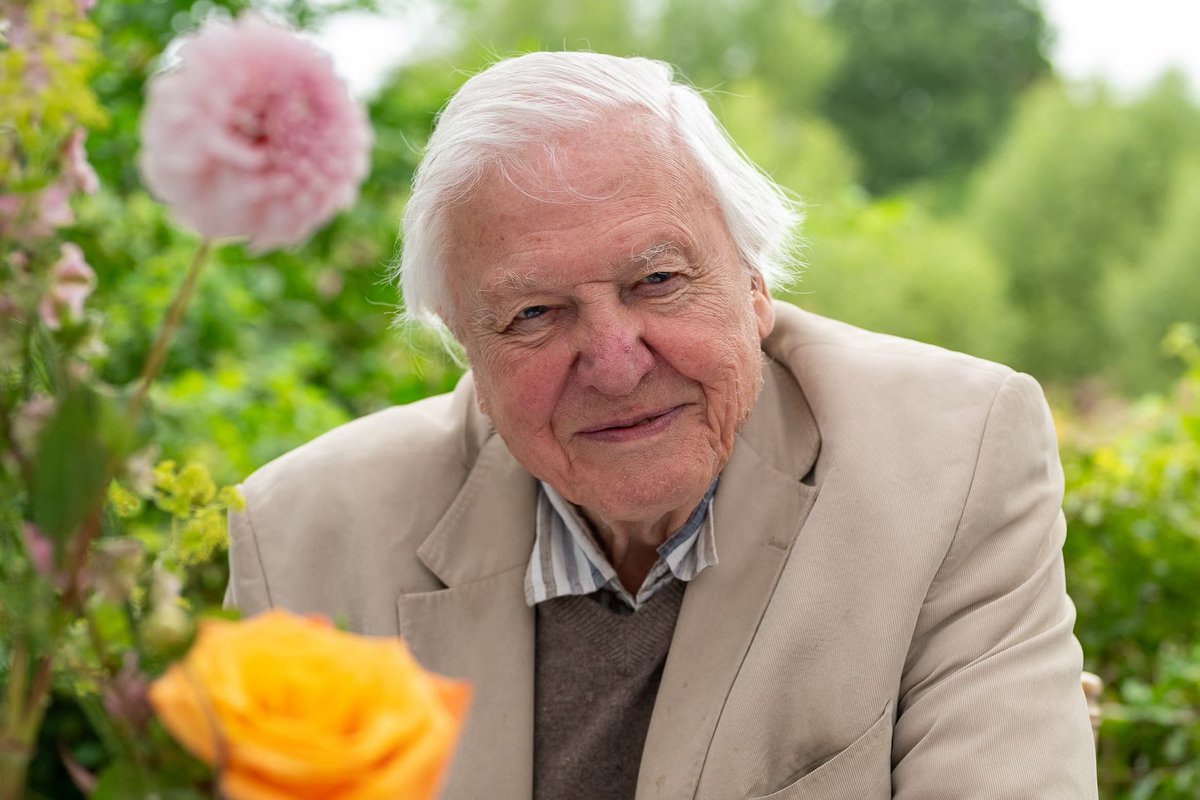 superTV247's tweet photo. DAVID ATTENBOROUGH, at 100 years old, has just won the National Television Award for best TV presenter. Incredible #NTAs https://t.co/vdkxG7FuEa